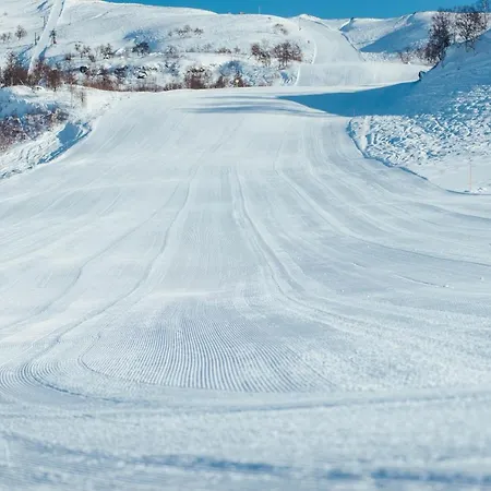 Haukelifjell Skisenter Apartman Vågsli