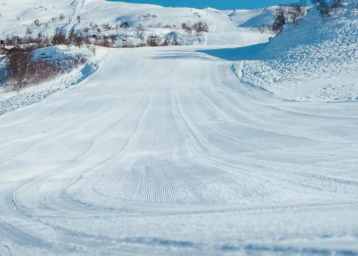 Haukelifjell Skisenter Leilighet Vågsli