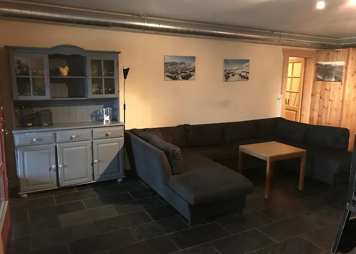 Leilighet Haukelifjell Skisenter Vågsli