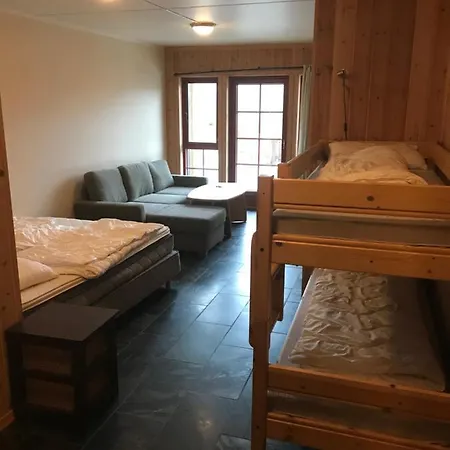 Haukelifjell Skisenter Apartman Vågsli