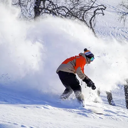 شقة Haukelifjell Skisenter *